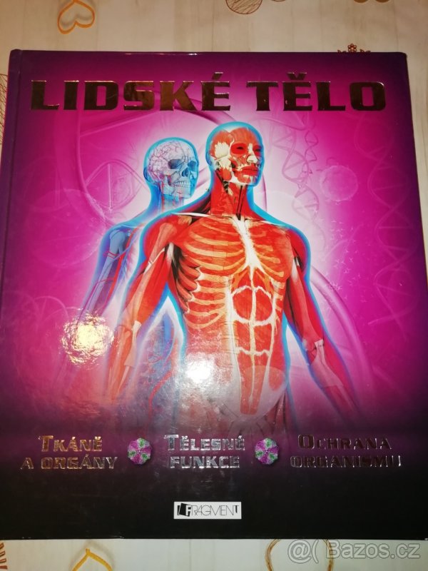 Lidské tělo