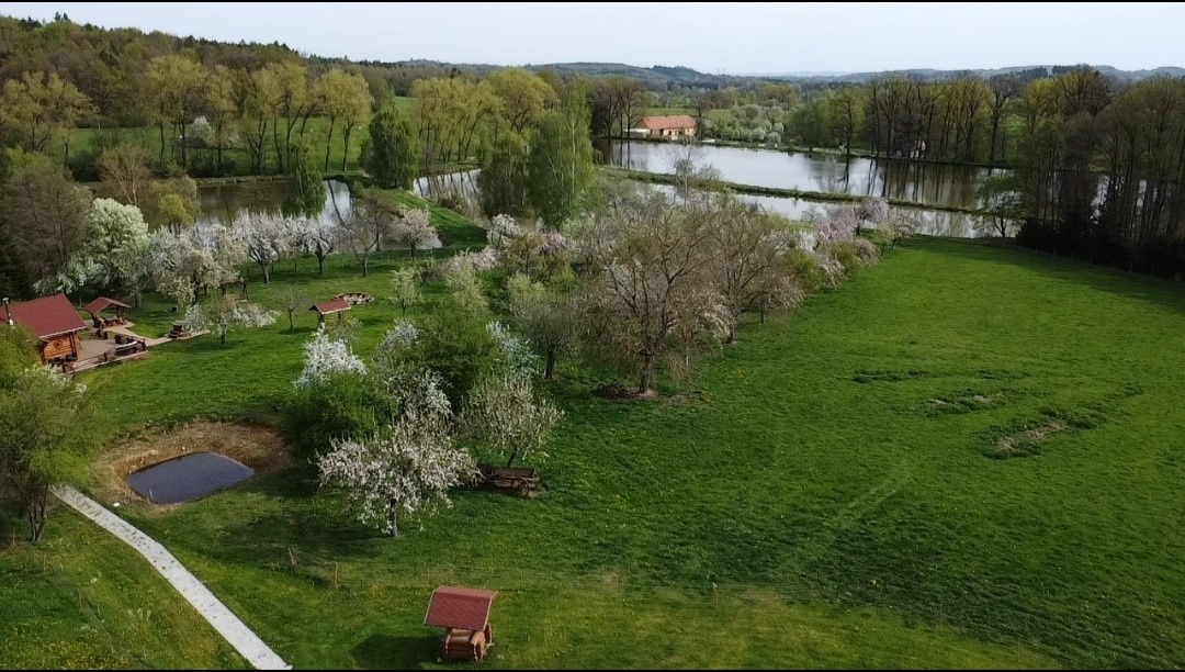 Prodej chaty, sauny a výřivky na samotě