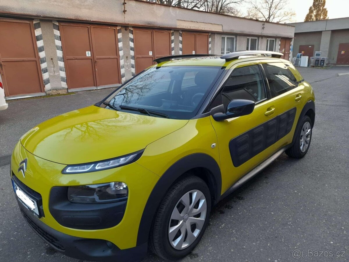 C4 CACTUS