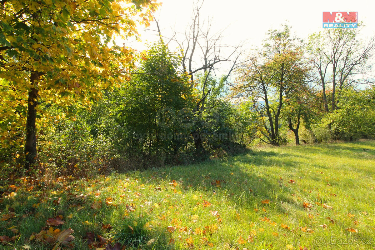 Prodej louky, 3251 m², Radeč u Horní Police, Žandov