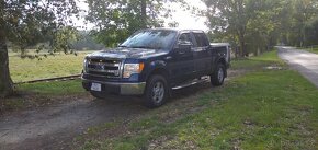 Ford F150 - 10