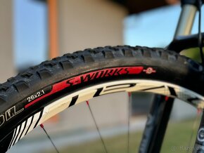 Specialized Stumpjumper FSR Expert Carbon - 10