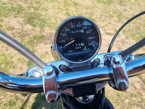 Suzuki VS 800 GL Intruder - 10