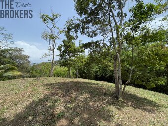 Lot 1 Bodden Bight Estate, Roatan - 10