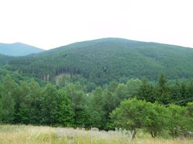 Prodej pozemku 3.221 m2  trv.tráví porost, louka Ostravice - 10