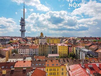 Prodej ostatní Půdní prostor, 126㎡ - 10