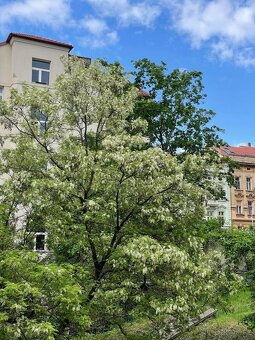 Nepruchozi pokoj v Luzankách pronájem - 10