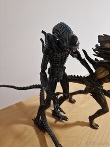 Aliens - Genocide Red Queen, Predalien Hybrid, Xenomorph - 10