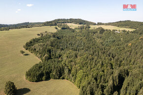 Prodej lesa, 8743 m², Valašská Senice - 10