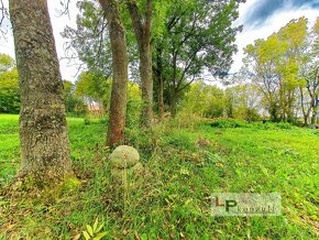 Prodej stavebního pozemku 4763 m² Chotěšice - Malá Strana - 10