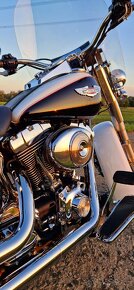 Harley Davidson Softail Deluxe 2006 - 10