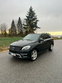 Mercedes Benz ML 350CDI W166 - 10