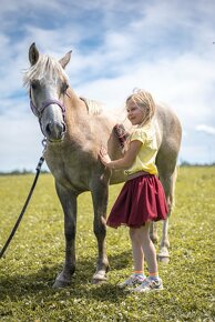 Valch Český sportovní pony - 10