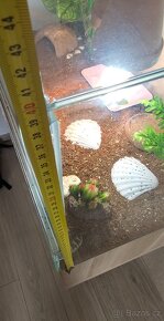 Terarium pro želvy š 80 x v 40x h40 Cm, včetně skříňky - 10