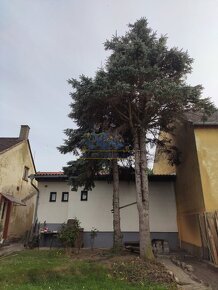 Prodej rodinného domu 140 m², pozemek 309 m² Hořovice okres  - 10