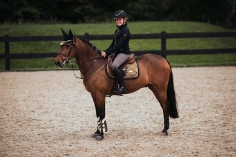 Sada Equestrian Stockholm Golden Brass DL, VS a COB - 10