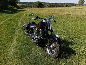 Harley Davidson FLSTS Heritage Springer - 10