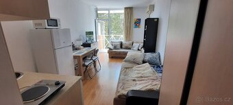 pronájem apartmánu - 10