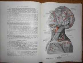 Staré knihy Anatomie člověka - 10