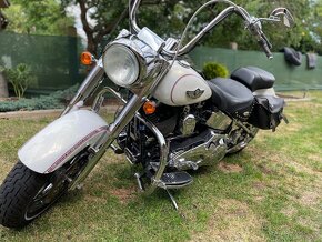 Harley Davidson FLSTFI - 10