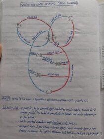 Biologie SŠ výpisky - 10