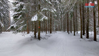 Prodej lesa, 60981 m², Česká Třebová - Svinná - 10