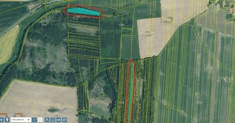 Prodám lesní pozemky v k.ú. Křenovice - 10