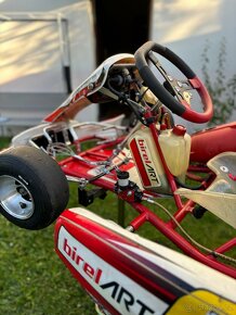 Kart Birel Easykart 60cc - 10