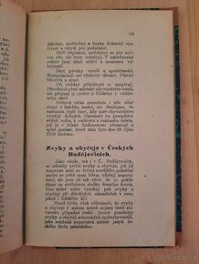 Ze starých Českých Budějovic,  vydáno 1921 - 10