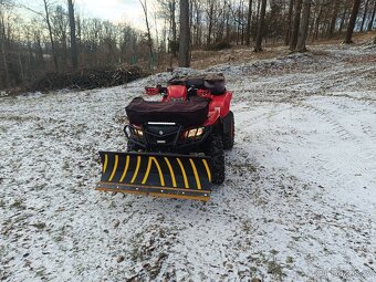 Suzuki kingquad 750i - 10