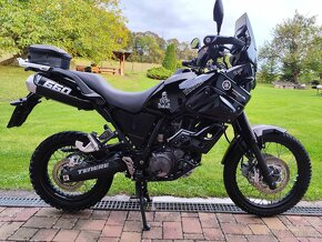 Yamaha XT 660z tenere - 10