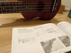 Ukulele - 10