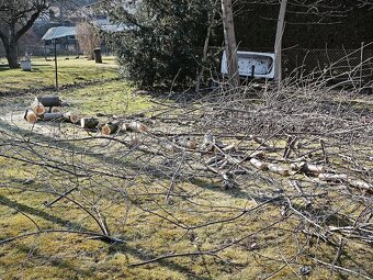 Nabízím štípání a pořezání dřeva. - 10