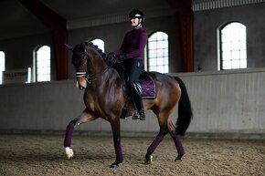 Equestrian Stockholm Black Raven DL a VS - 10