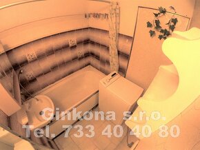 Pronájem zařízeného bytu 2+1 Plzeň - ul. Krajní - 11