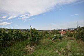 Prodej rodinného domu ve Strachotíně v srdci Pálavy - 11