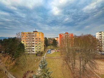 Prodej bytu 2+1 50m2 Zábřeh - 11