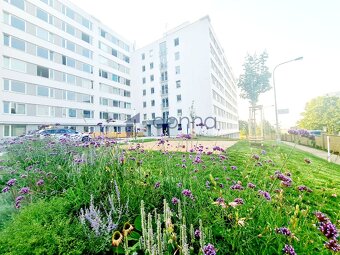 Prodej bytu 2+kk, 46 m², Čenětická, Praha 4 - Chodov - 11