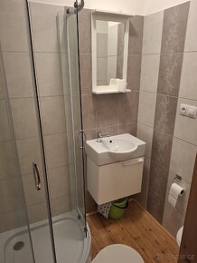 Ubytovani , apartmán, pronajem, chalupa Klínovec - 11