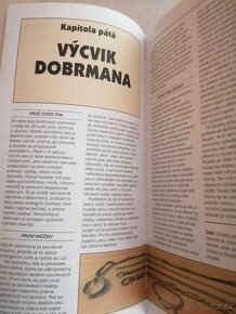 Jezevčík + Labradorský retrívr + Foxteriér + Dobrman - 11