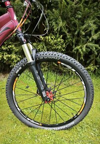 Prodám MTB horské kolo Specialized Stumpjumper vel. L - 11