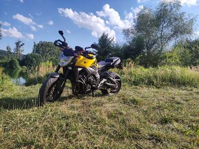 FZ1 - 11