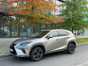 Lexus NX 300h - 11