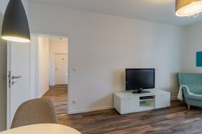 Pronájem bytu 2+1 o výměře 77 m2 v Plzni, centrum - 11