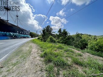 Isery Main Road, Roatan - 11