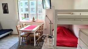 Pronájem bytu 1+kk, 32 m2, Horní Rokytnice, ev.č. 00103 - 11