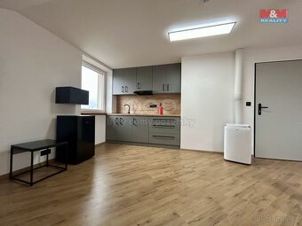 Pronájem bytu 1+kk, 30 m², Klatovy - 11