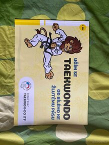 Taekwondo - 11