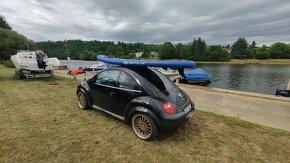 VW new Beetle 1.6 - 11