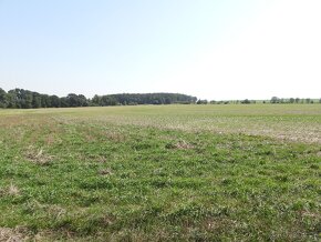 Prodej zemědělských pozemků v k.ú. Březí u Šebestěnic a k.ú. - 11